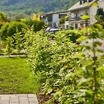 Mittelmosel Panorama * Kinheim