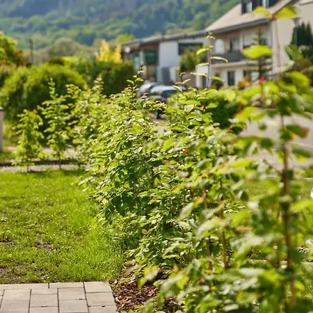 Mittelmosel Panorama * Kinheim