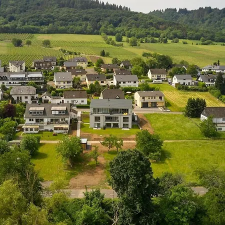 Mittelmosel Panorama Kinheim