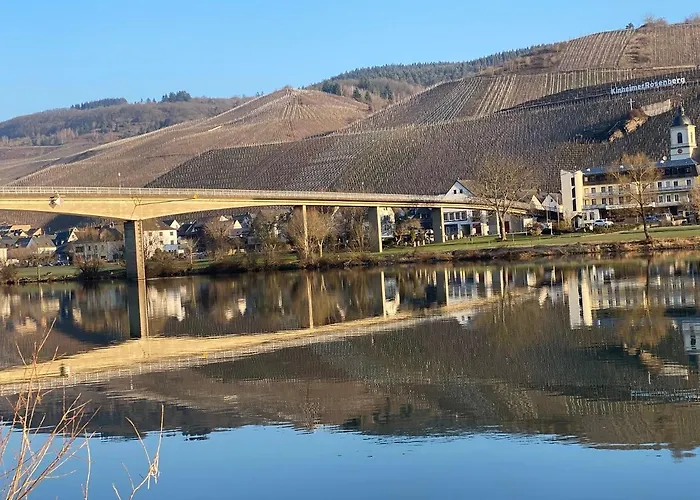 Apartamento Mittelmosel Panorama Kinheim