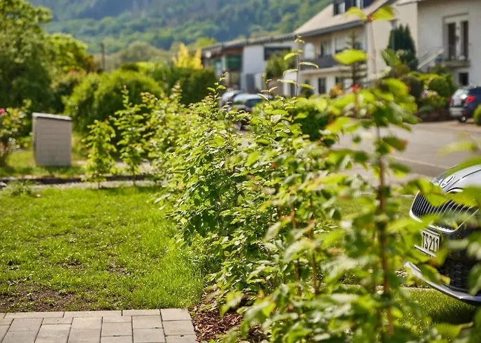 Mittelmosel Panorama * Kinheim