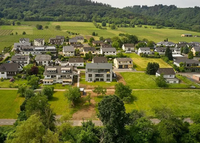 Mittelmosel Panorama Kinheim